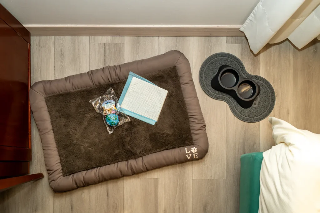 Detail of a room with amenities dedicated to pets: a soft brown bed, a toy, an absorbent cloth, a black double bowl and a small mat under it.